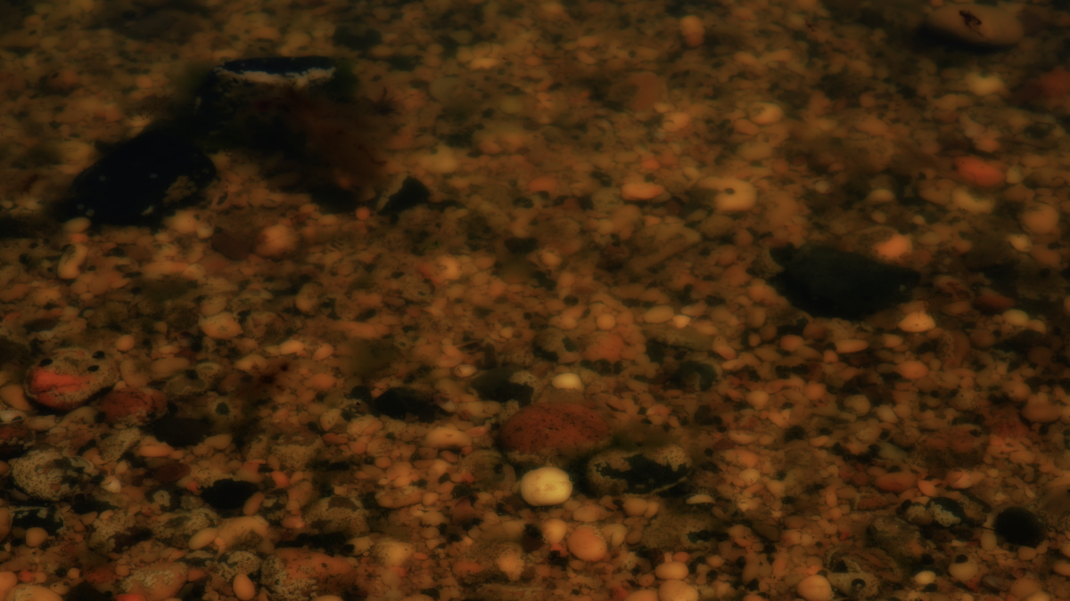 peter campus, there somewhere (video still), 2023. Videograph. 10:22 minute loop; Courtesy of the artist and Cristin Tierney Gallery